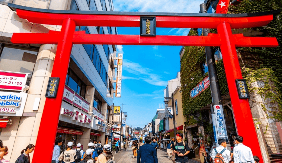 TOKYO FUJI Kamakura 6วัน 4คืน 2