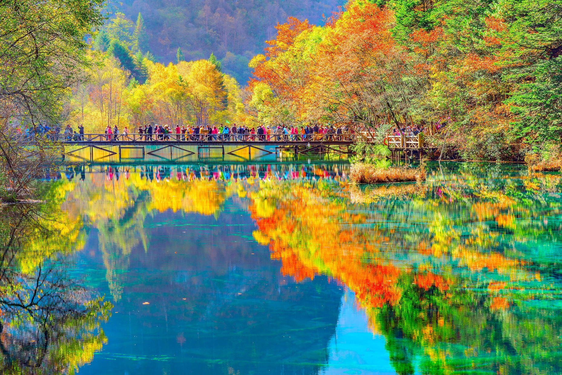 เขาสวย น้ำใสที่... จิ่วจ้ายโกว สี่ดรุณี เฉิงตู รถไฟความเร็วสูง 6วัน 4คืน 5