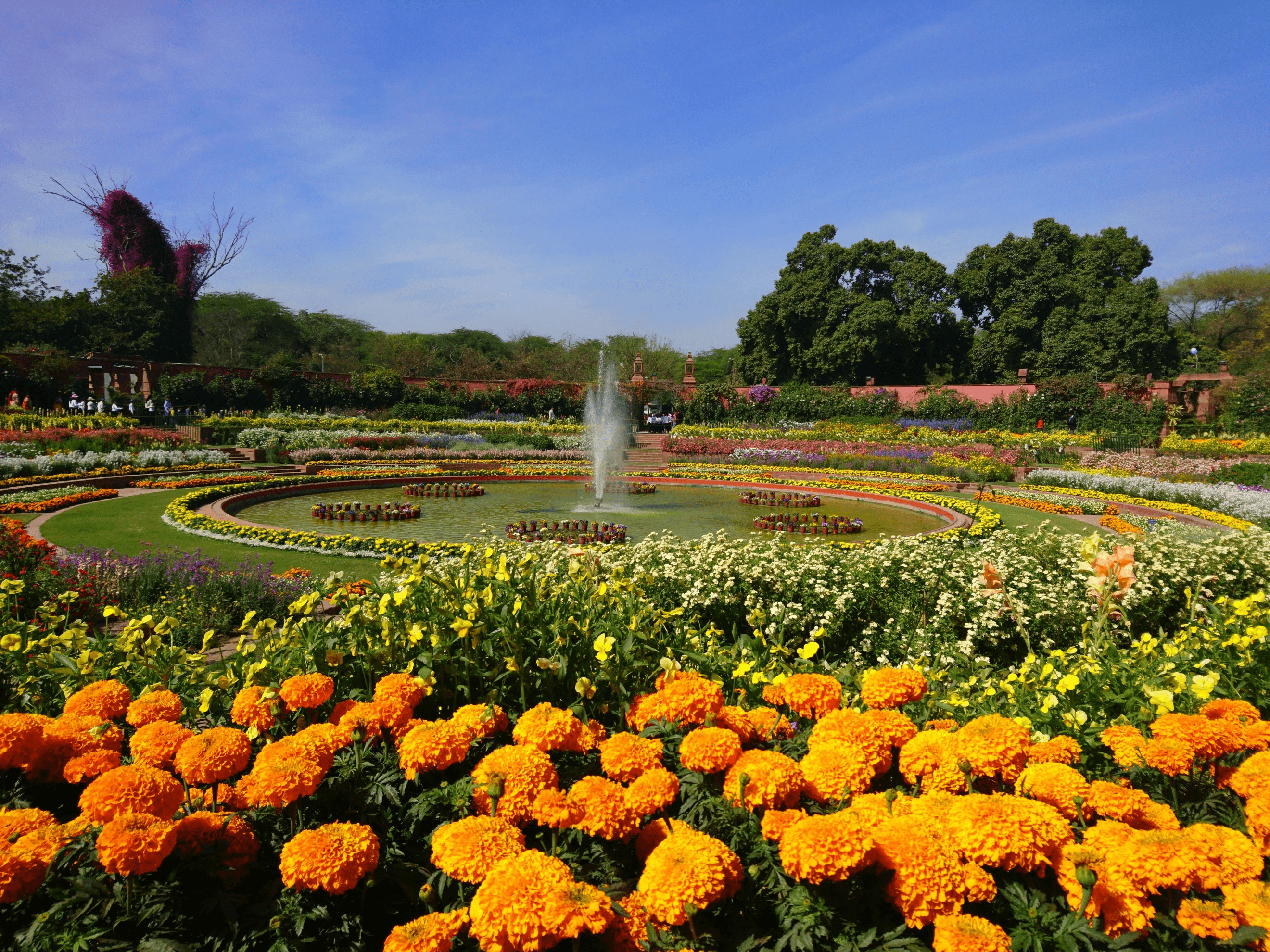 BEAUTYFUL KASHMIR ศรีนาคา กุลมาร์ค พาฮาลแกม 5วัน 3คืน 4