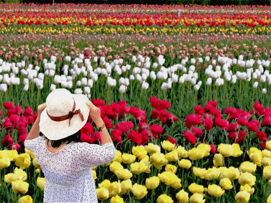 BEAUTYFUL KASHMIR ศรีนาคา กุลมาร์ค พาฮาลแกม 5วัน 3คืน 6