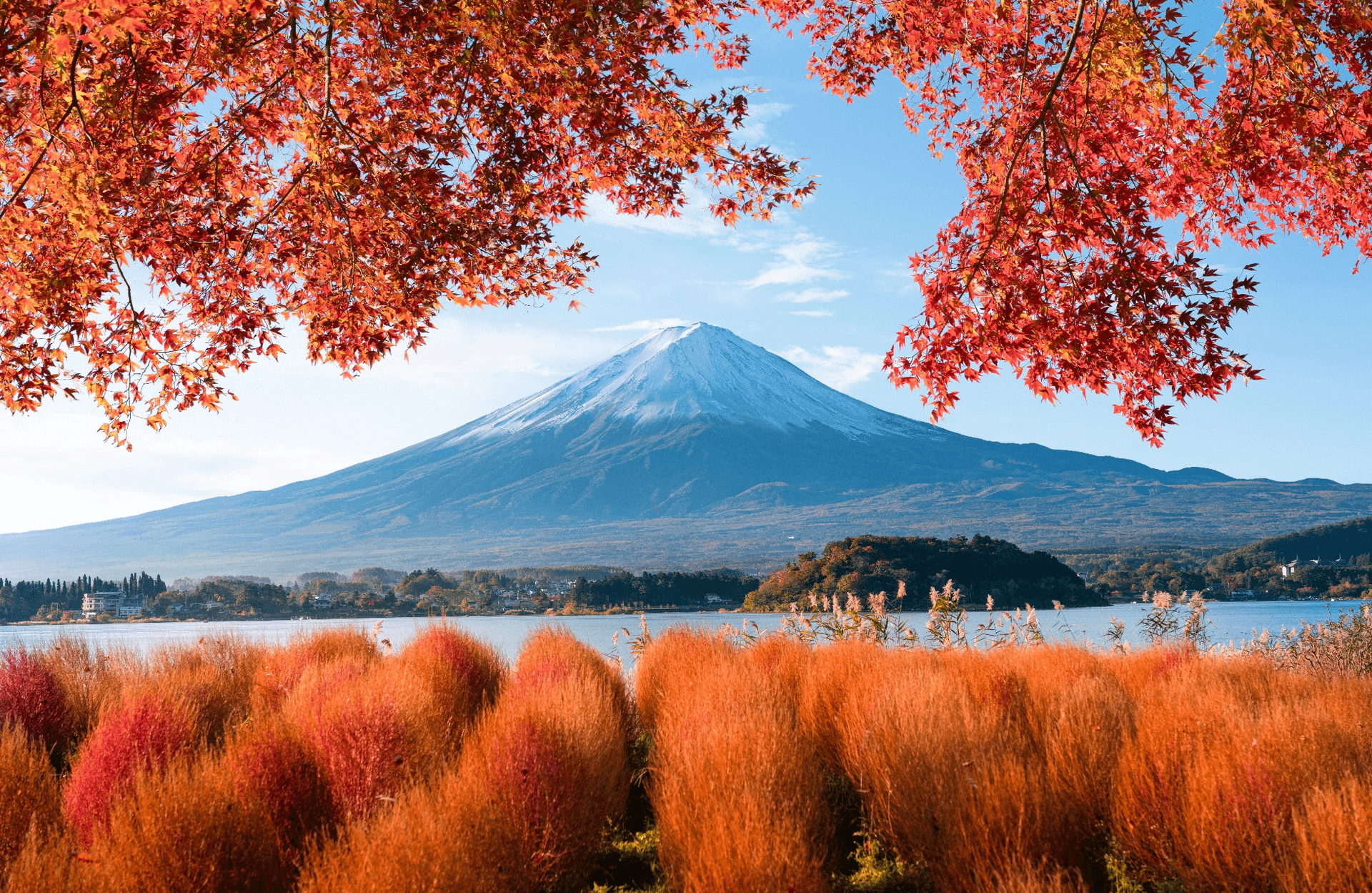 ฟูจิก็รัก โตเกียวก็เลิฟ TOKYO FUJI 4วัน 3คืน 2