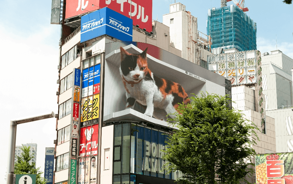 ฟูจิก็รัก โตเกียวก็เลิฟ TOKYO FUJI 4วัน 3คืน 4