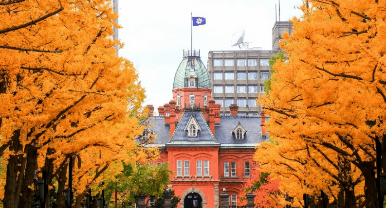 Romantic Red HOKKAIDO SAPPORO ASAHIKAWA OTARU 6วัน 4คืน 6