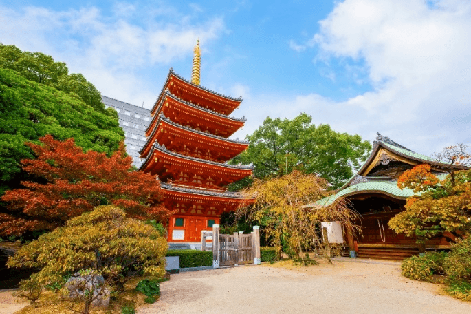 FUKUOKA ใบไม้เปลี่ยนสี (FREEDAY) 5 วัน 3 คืน 4