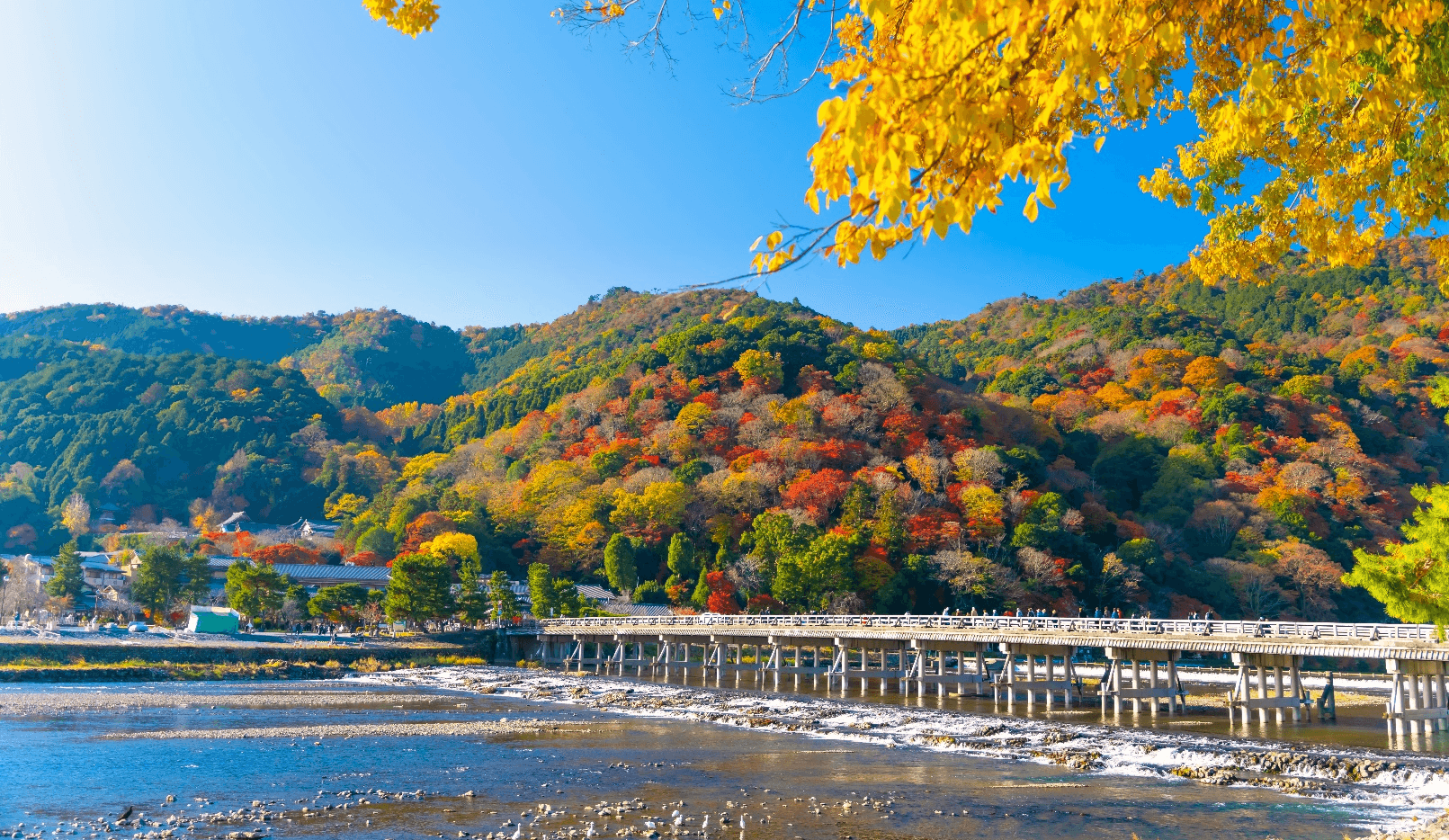 OSAKA อาราชิยาม่า ใบไม้เปลี่ยนสี (เที่ยวเต็ม) 5วัน 3คืน 1
