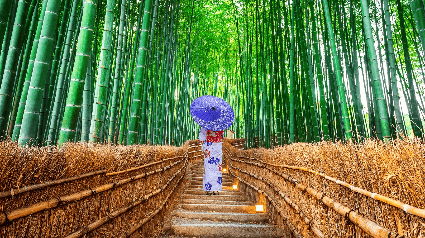 OSAKA-TOKYO GRAND KAMIKOCHI (เที่ยวเต็ม) 6วัน 4คืน 1