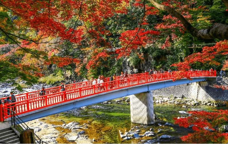 OSAKA-TOKYO GRAND KORANKEI (เที่ยวเต็ม) 6วัน 4 คืน 5