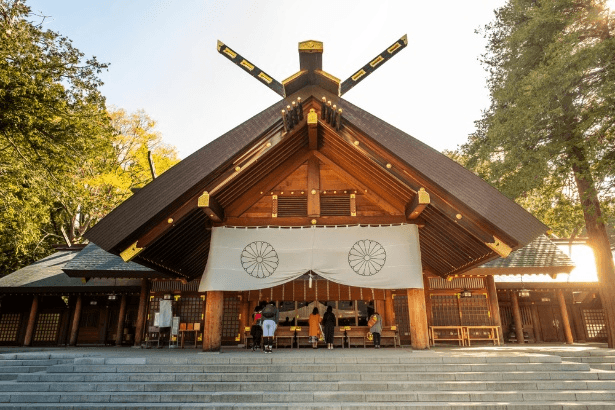 HOKKAIDO ดีเเรงทุ่งหลากสี (FREEDAY) 5วัน 3คืน 5