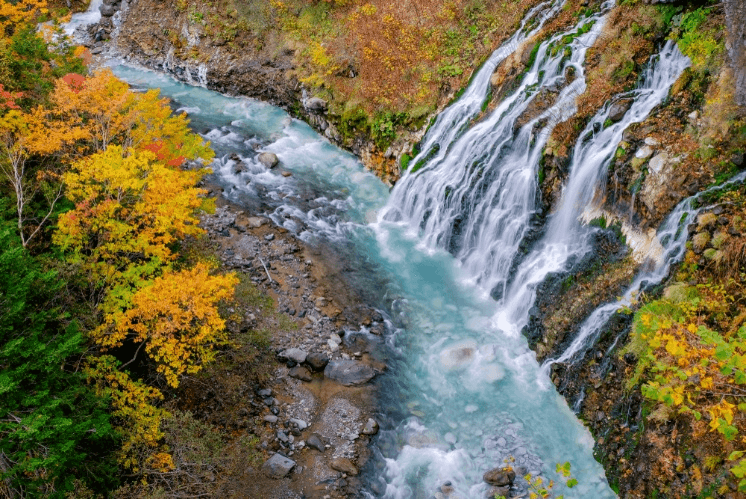 HOKKAIDO AUTUMN IN LOVE (FREEDAY) 6วัน 4คืน 2
