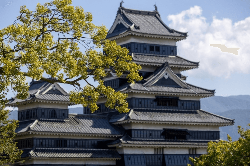TOKYO คามิโคจิใบไม้บาน เที่ยวเต็ม 5วัน 3คืน 5