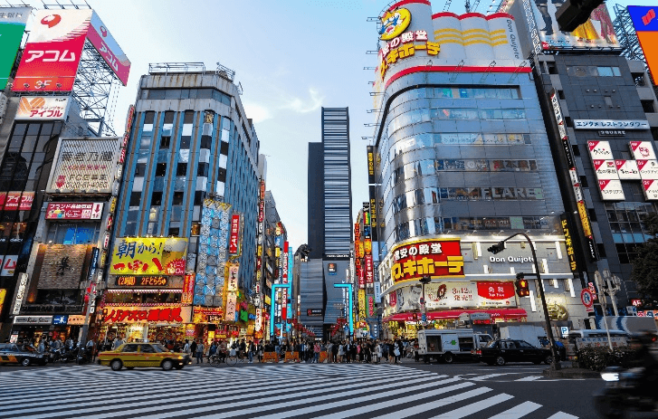 TOKYO RAINBOW FLOWER FESTIVAL (FREEDAY บินดึก) 5วัน 3คืน 4