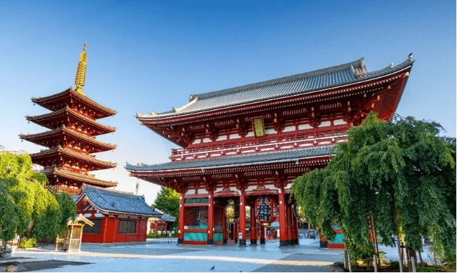 TOKYO คามิโคจิ ใบไม้เปลี่ยนสี (บินดึกกลับดึก เที่ยวเต็ม) 6วัน 3คืน 5