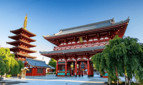 TOKYO ฮาคุบะ ใบไม้เปลี่ยนสี (บินดึกกลับสาย เที่ยวเต็ม) 5วัน 3คืน 1