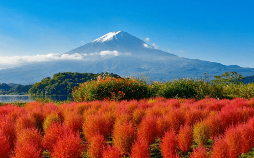 TOKYO ฮาคุบะ ใบไม้เปลี่ยนสี (บินดึกกลับสาย เที่ยวเต็ม) 5วัน 3คืน 4