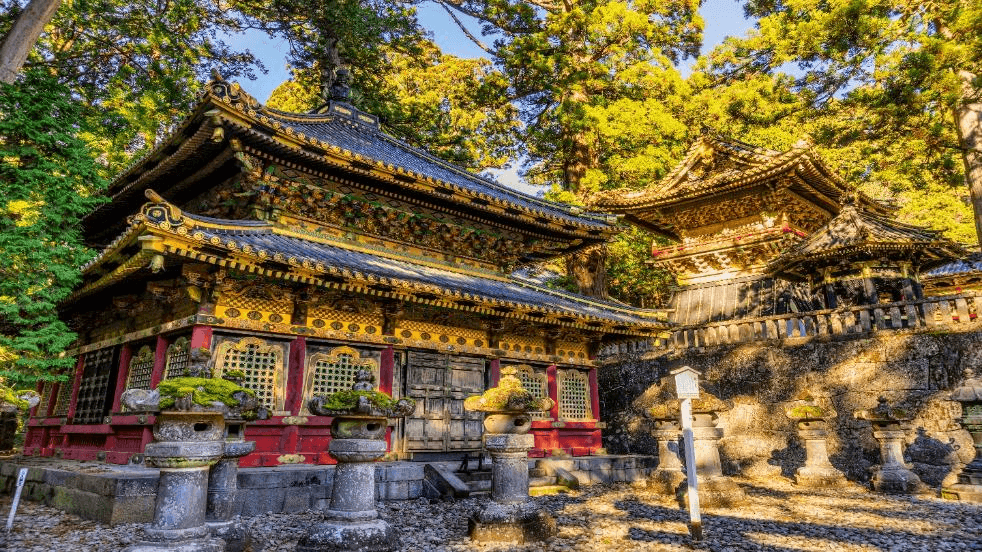 TOKYO นิกโก้ ใบไม้แดง (บินดึกกลับเช้า เที่ยวเต็ม) 5วัน 3คืน 3