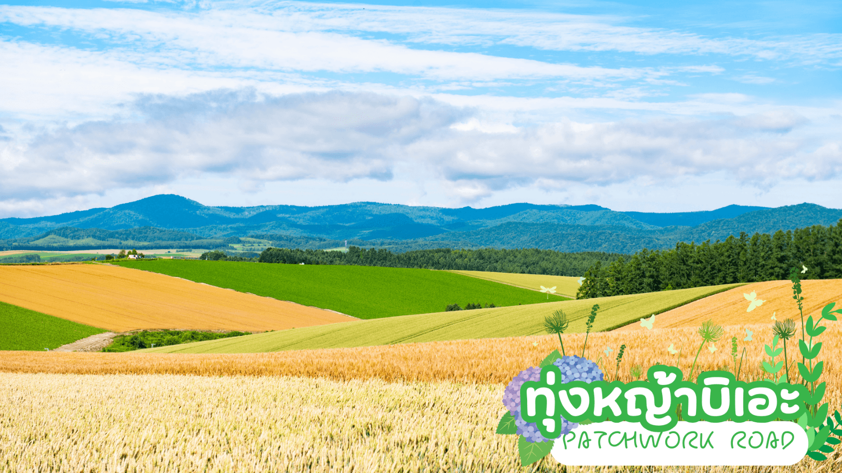 HOKKAIDO DATEJIDAIMURA FURANO FRUIT & FLOWER 6D 4N โดยสายการบินไทย [TG] 7