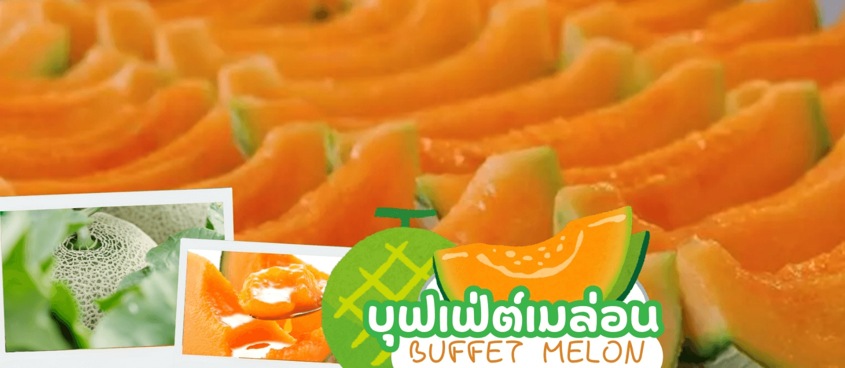 HOKKAIDO DATEJIDAIMURA FURANO FRUIT & FLOWER 6D 4N โดยสายการบินไทย [TG] 9
