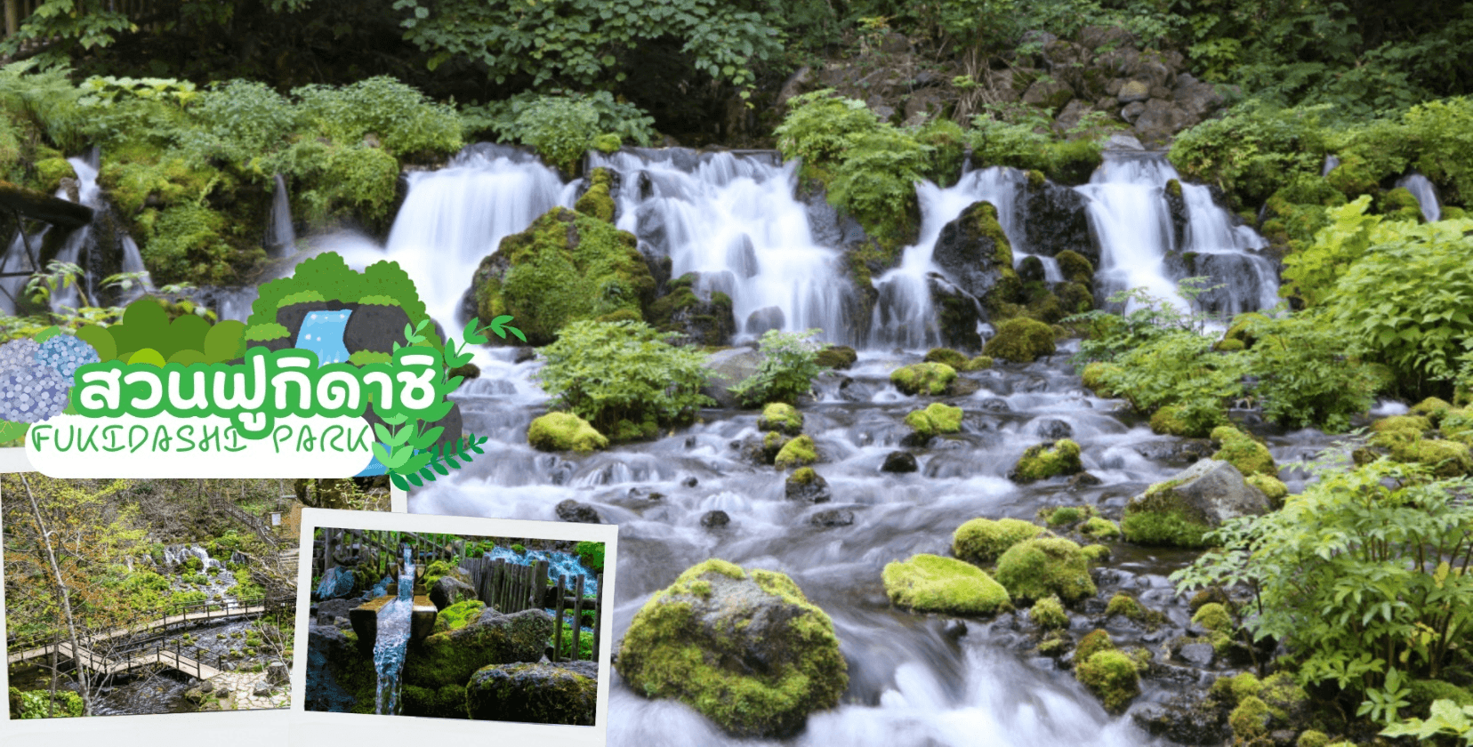 HOKKAIDO HAKODATE FLOWER & FRUIT 7D 5N โดยสายการบินไทย [TG] 6
