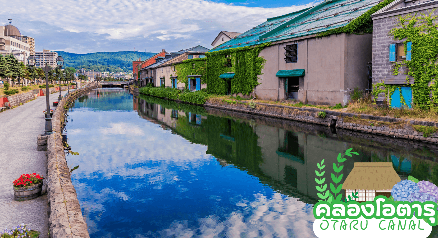 HOKKAIDO HAKODATE FLOWER & FRUIT 7D 5N โดยสายการบินไทย [TG] 7