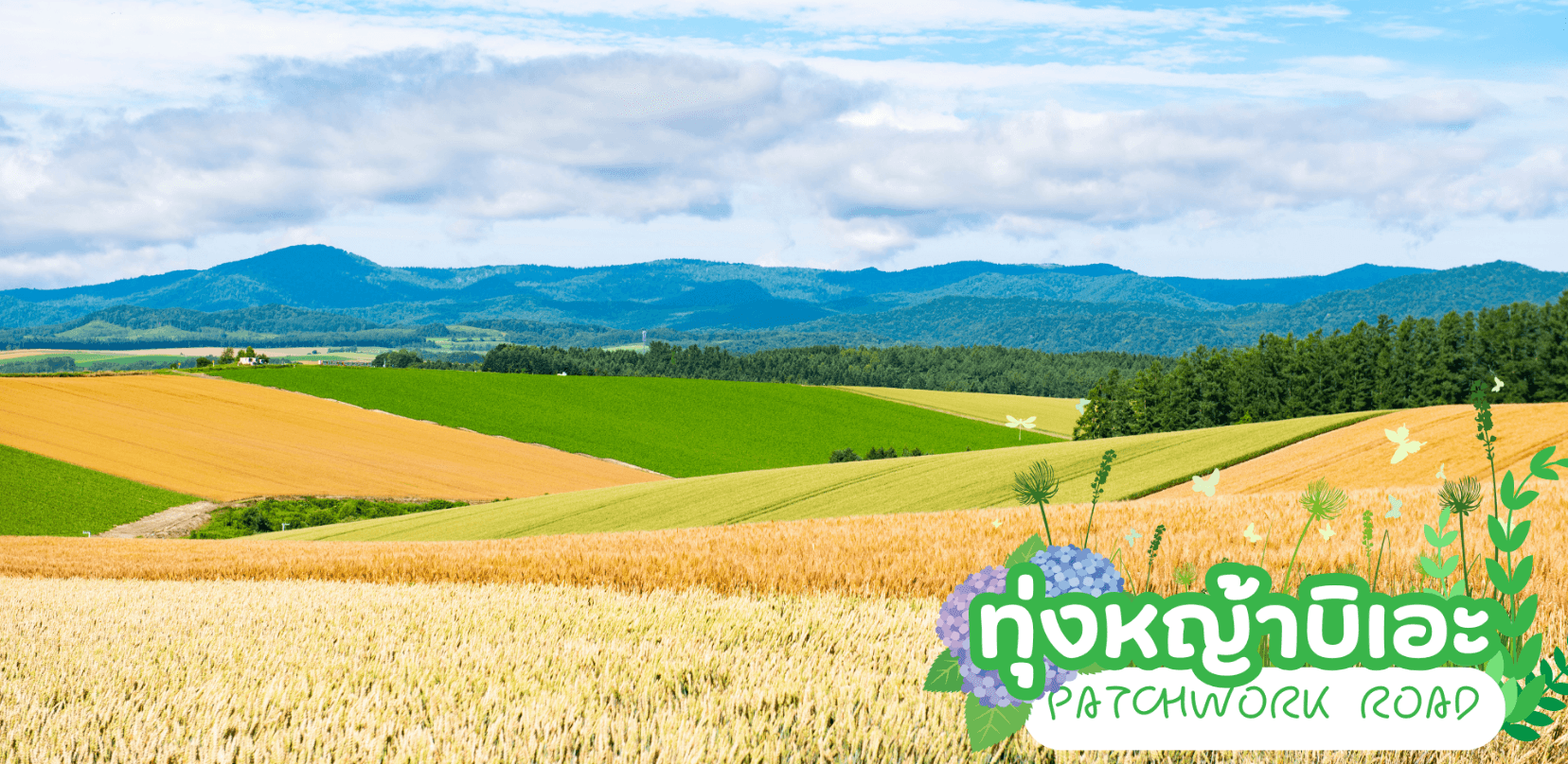 HOKKAIDO HAKODATE FLOWER & FRUIT 7D 5N โดยสายการบินไทย [TG] 11