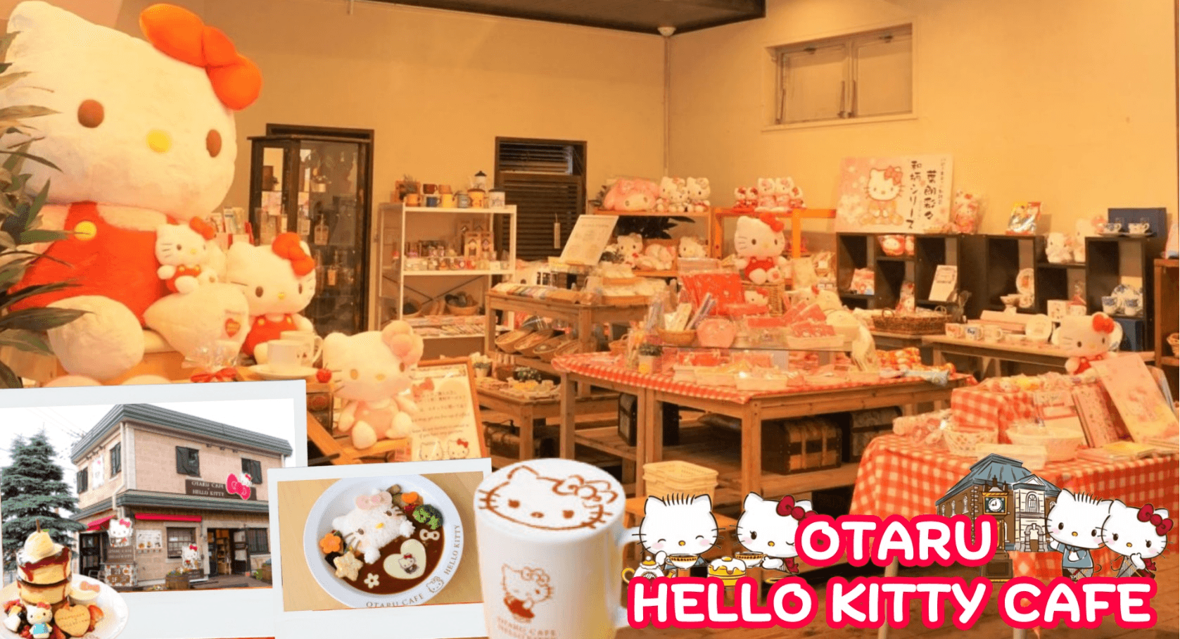 HOKKAIDO HAKODATE TOYA AUTUMN 6D 4N โดยสายการบินการบินไทย [TG] 7