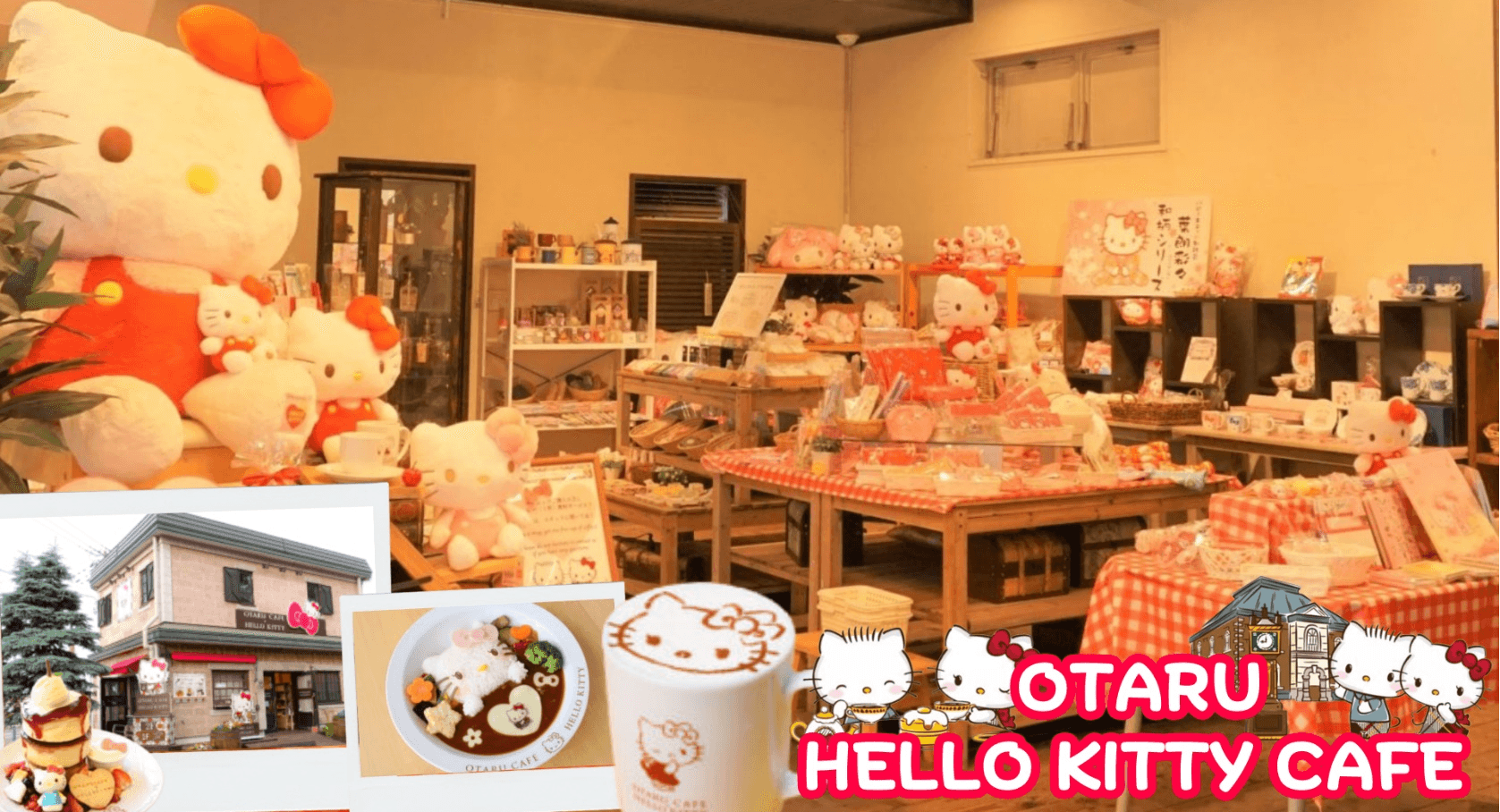 HOKKAIDO HAKODATE TOYA AUTUMN 6D 4N โดยสายการบินการบินไทย [TG] 7