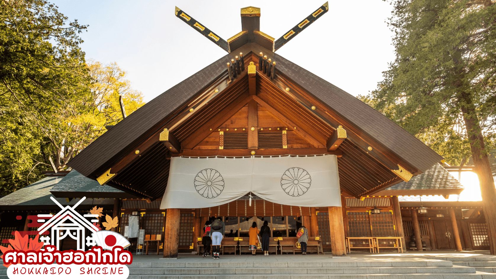 HOKKAIDO HAKODATE TOYA AUTUMN 6D 4N โดยสายการบินการบินไทย [TG] 9