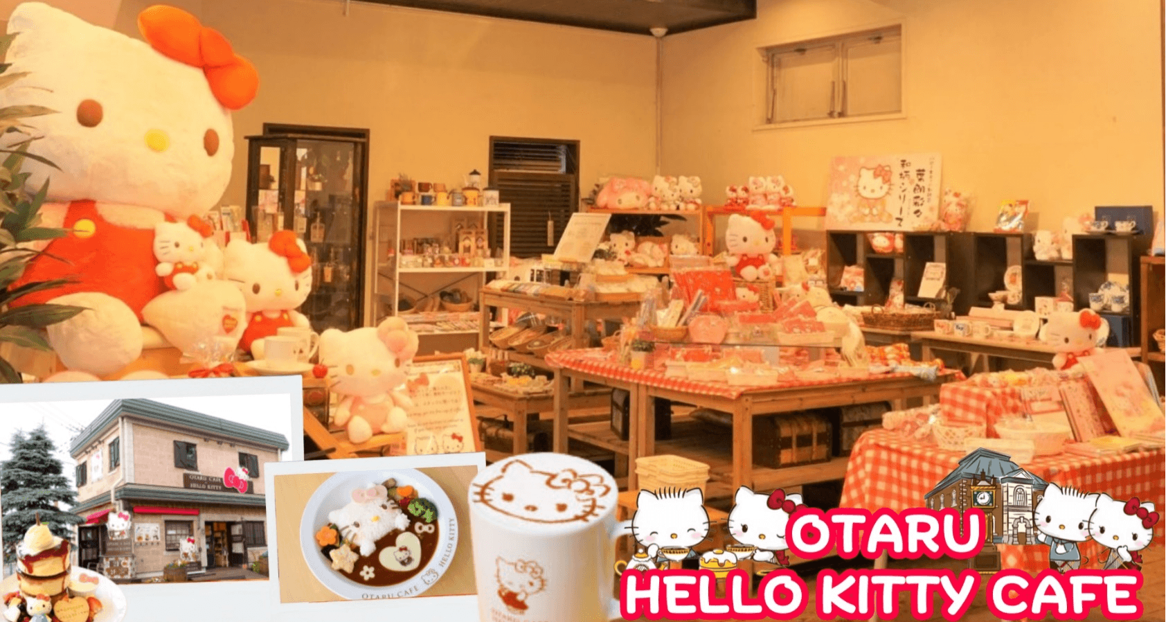 HOKKAIDO JOZANKEI OTARU ASAHIKAWA 6D 4N โดยสายการบินไทย [TG] 6