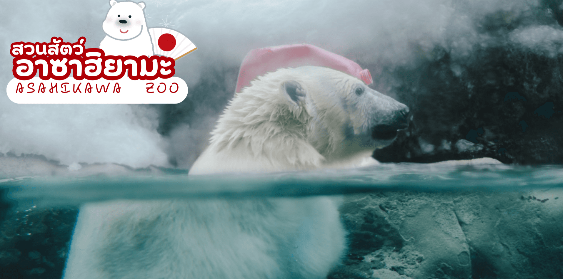 HOKKAIDO JOZANKEI OTARU ASAHIKAWA 6D 4N โดยสายการบินไทย [TG] 8
