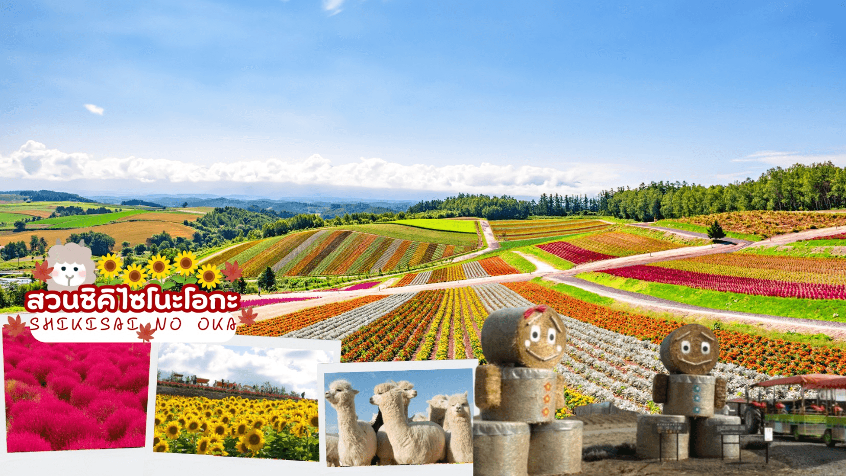 HOKKKAIDO OBIHIRO TOKACHI ONSEN AUTUMN 6D 4N โดยสายการบินไทย [TG] 4