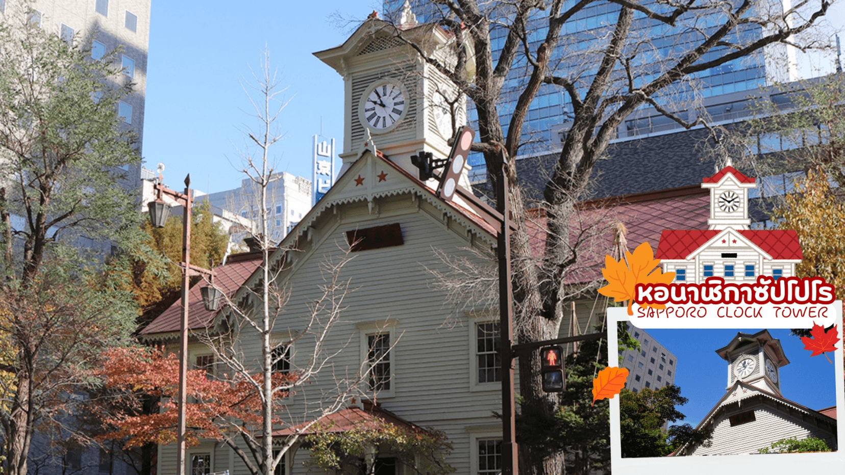 HOKKKAIDO OBIHIRO TOKACHI ONSEN AUTUMN 6D 4N โดยสายการบินไทย [TG] 10