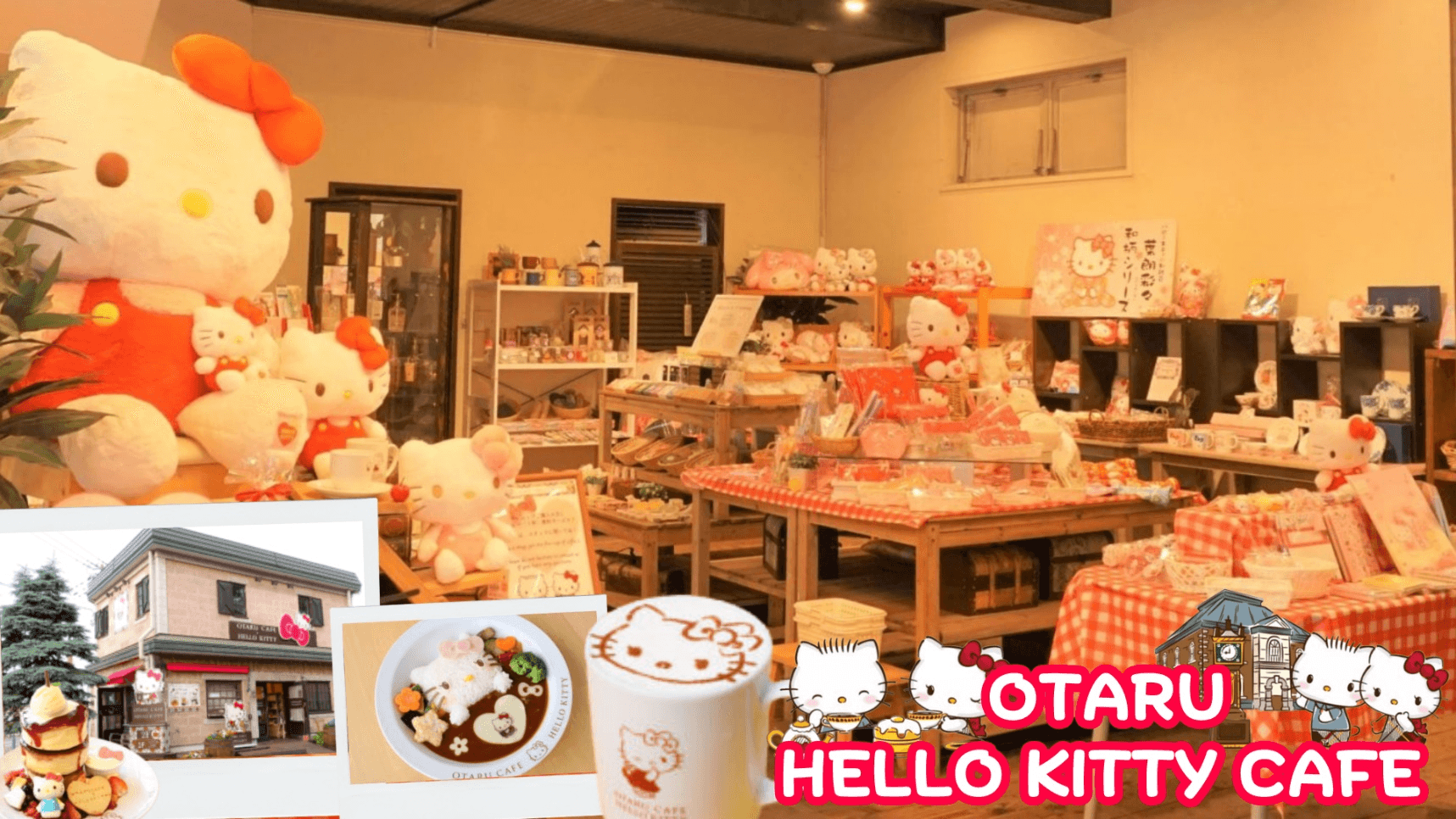 HOKKAIDO COLORFUL FLOWER CHERRY MELON 6D 4N โดยสายการบินไทยแอร์เอเชีย เอ็กซ์ [XJ] 6
