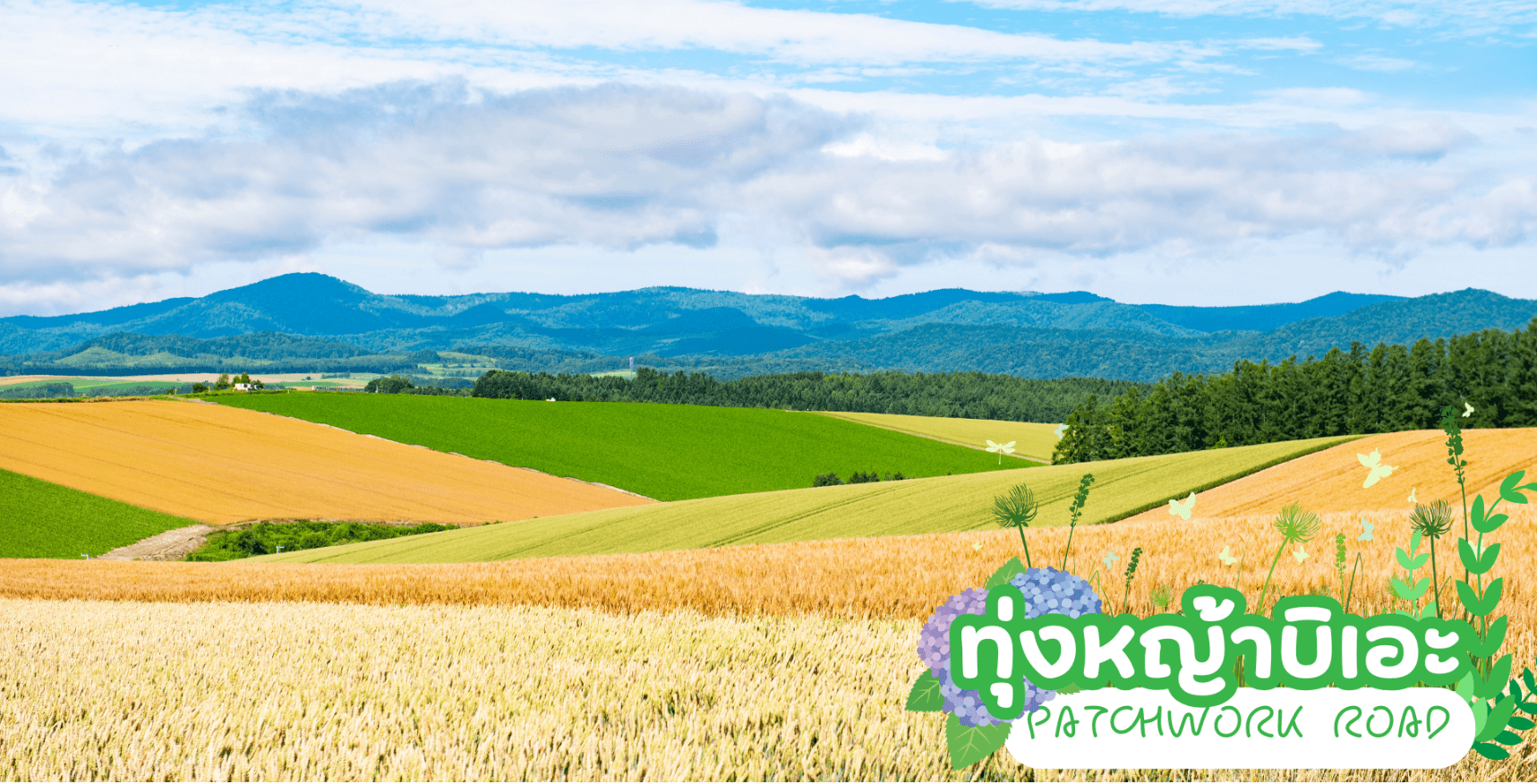 HOKKAIDO COLORFUL FLOWER CHERRY MELON 6D 4N โดยสายการบินไทยแอร์เอเชีย เอ็กซ์ [XJ] 8
