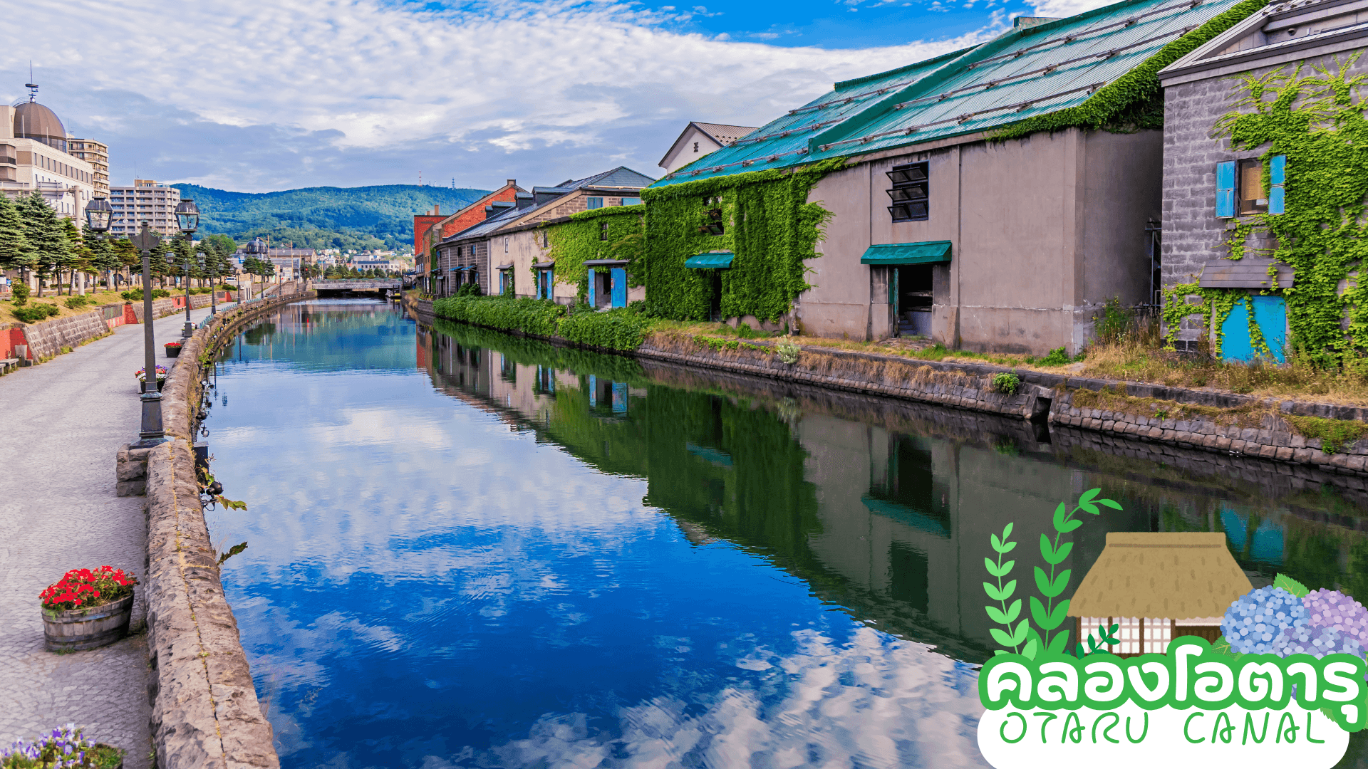 HOKKAIDO OTARU FURANO SO GOOD 5D 3N โดยสายการบินแอร์เอเชีย เอ็กซ์ [XJ] 3