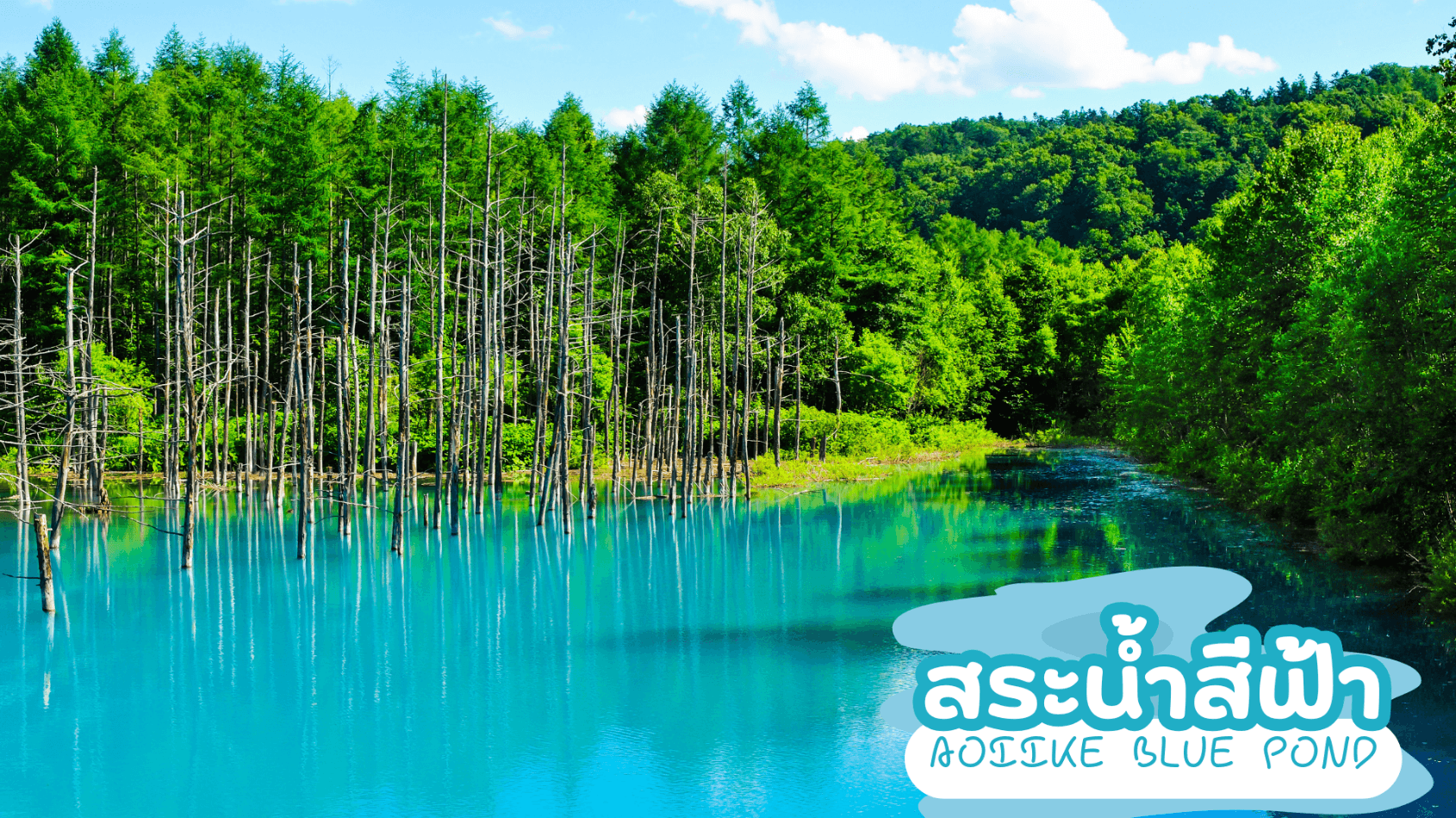 HOKKAIDO OTARU FURANO SO GOOD 5D 3N โดยสายการบินแอร์เอเชีย เอ็กซ์ [XJ] 9