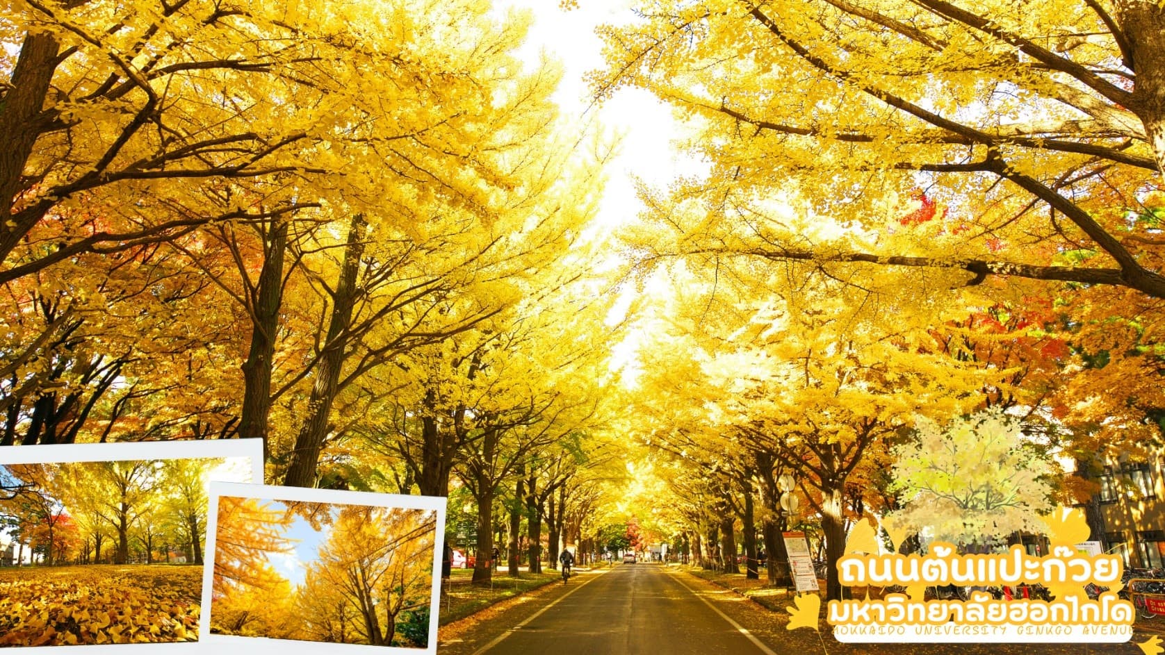 HOKKAIDO TOYA JOZANKEI FEEL GOOD 6D 4N โดยสายการบินไทยแอร์เอเชีย เอ็กซ์ [XJ] 14