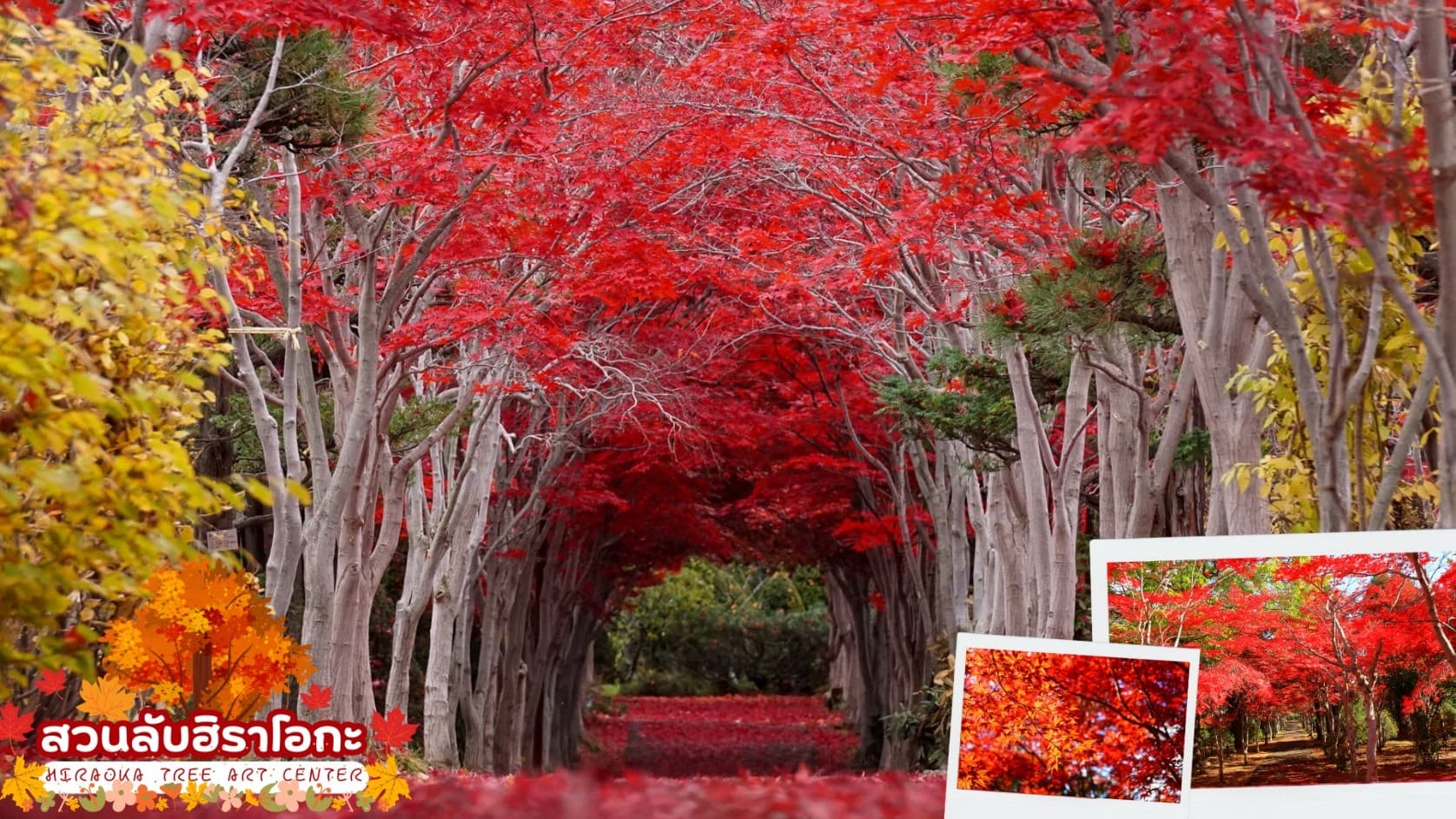 HOKKAIDO TOYA JOZANKEI FEEL GOOD 6D 4N โดยสายการบินไทยแอร์เอเชีย เอ็กซ์ [XJ] 16