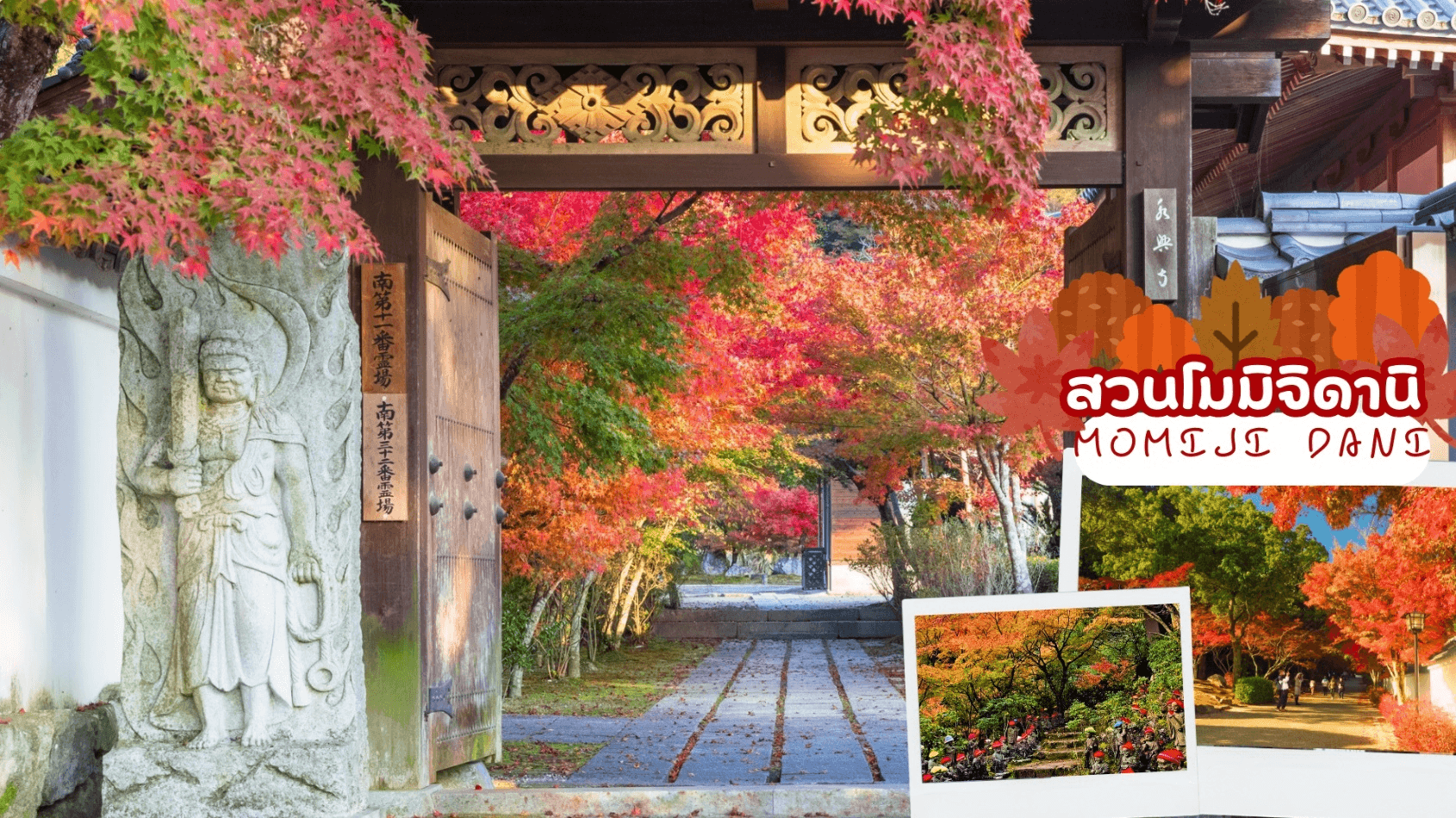 UNSEEN YAMAGUCHI SHIKOKU AUTUMN 7 วัน 5 คืน โดยสายการบินไทย (TG) 4