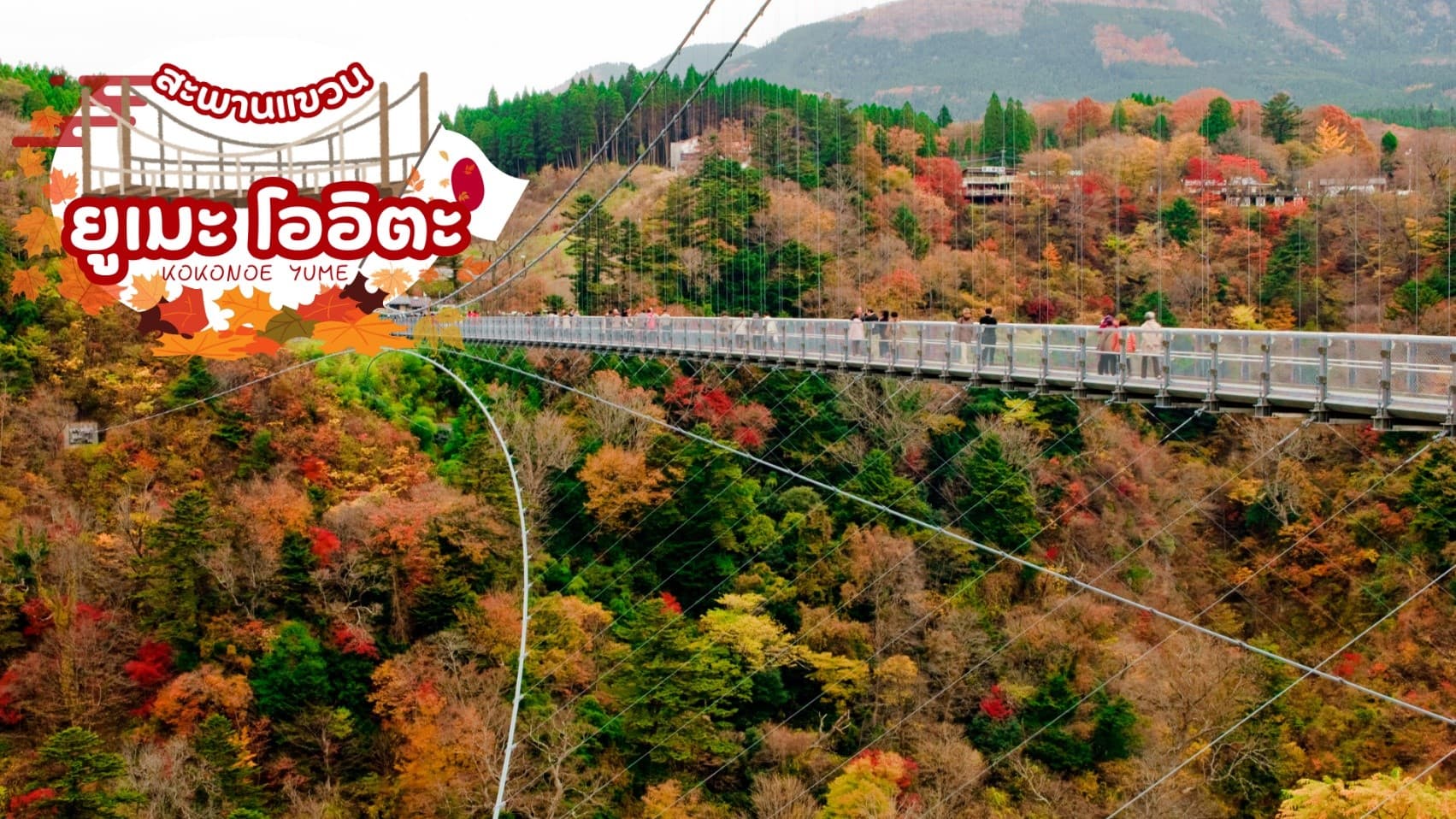 FANTASTIC SOUTH KYUSHU KAGOSHIMA 7D 5N โดยสายการบินไทย [TG] 5