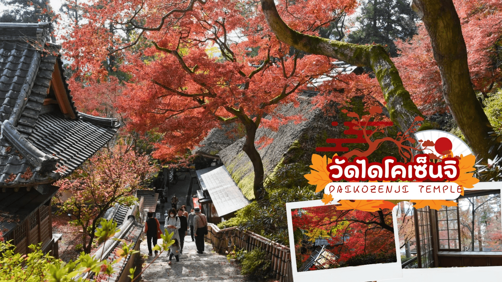 KYUSHU SAGA KUMAMOTO TAKACHIHO AUTUMN 6D 4N โดยสายการบินไทย [TG] 1