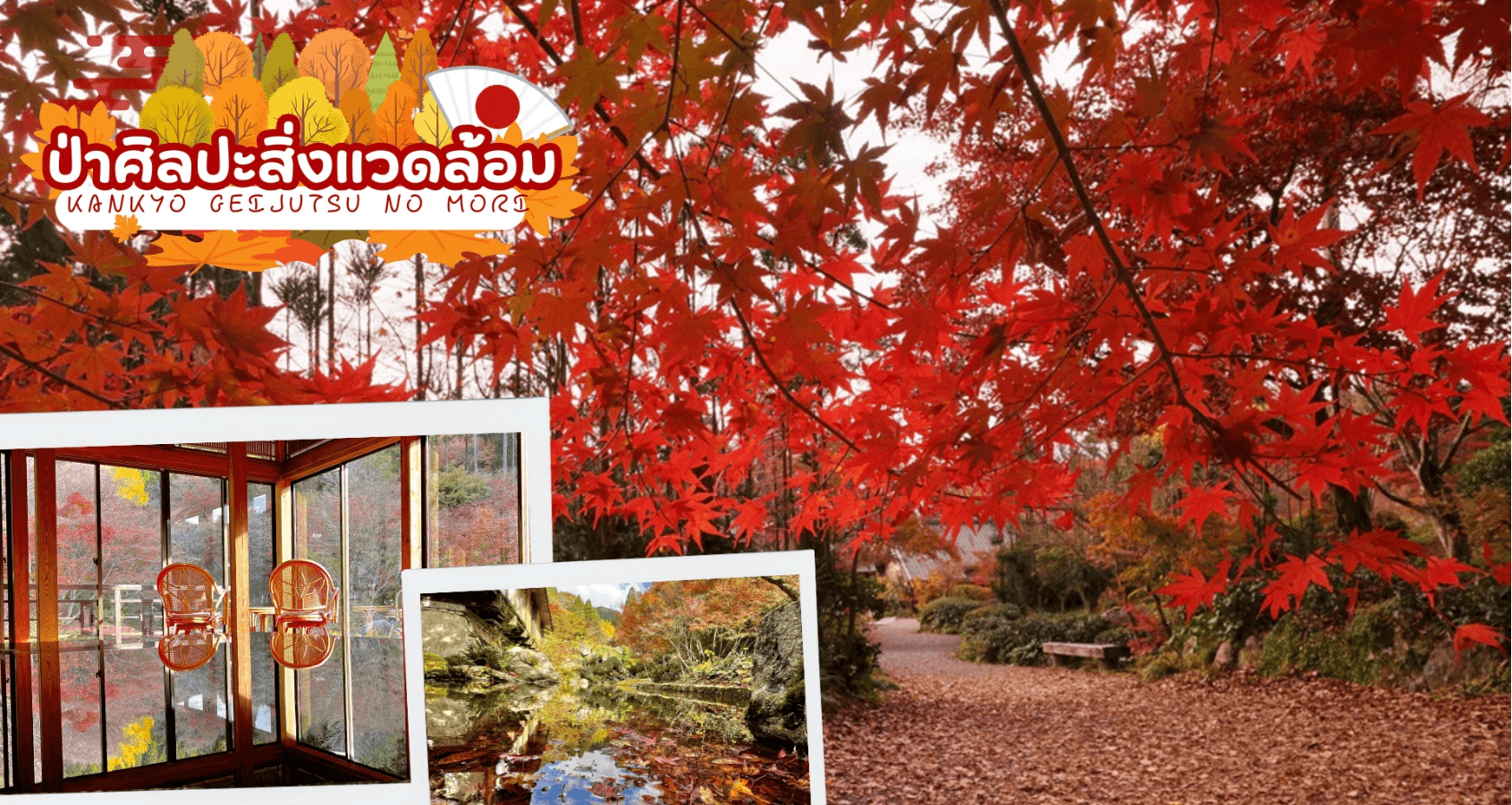 KYUSHU SAGA KUMAMOTO TAKACHIHO AUTUMN 6D 4N โดยสายการบินไทย [TG] 2