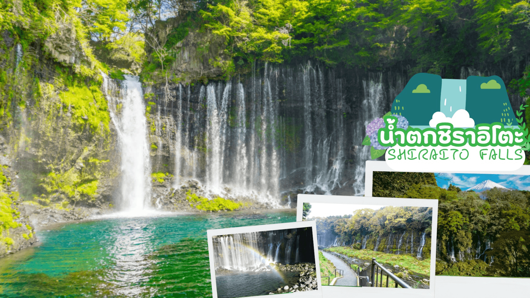 TOKYO FUJI OSAKA FLOWER FARM 6D 4N โดยสายการบินไทย [TG] 9