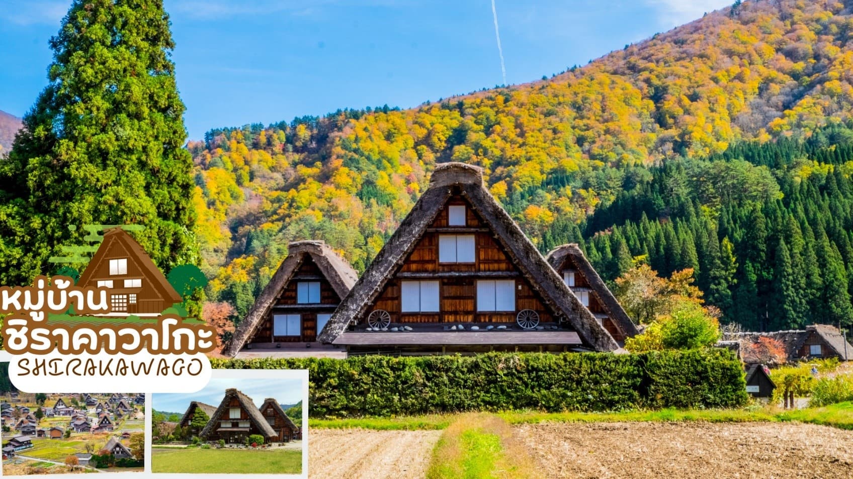 KAMIKOCHI HAKUBA SHIRAKAWAGO OSAKA 7D 5N โดยสายการบินไทย [TG] 9