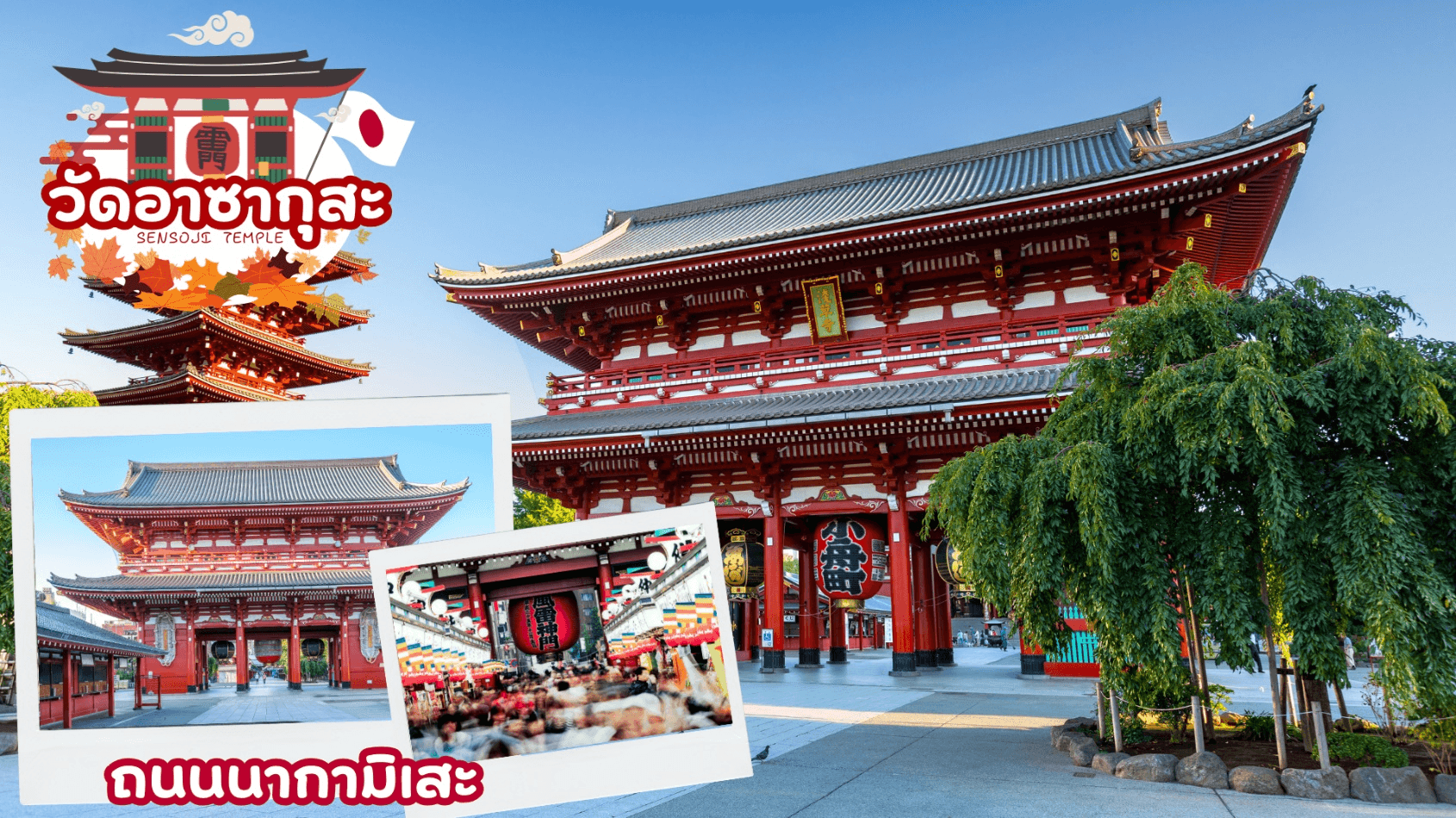 KORANKEI OBARA SAKURA & AUTUMN LEAVE 6D 4N โดยสายการบินไทย [TG] 1