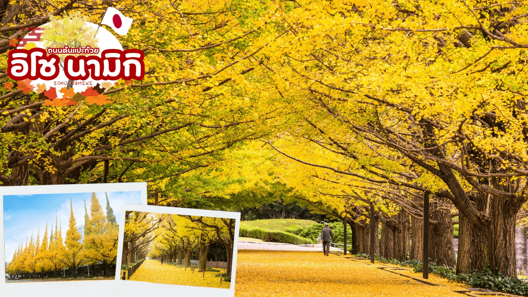 KORANKEI OBARA SAKURA & AUTUMN LEAVE 6D 4N โดยสายการบินไทย [TG] 3