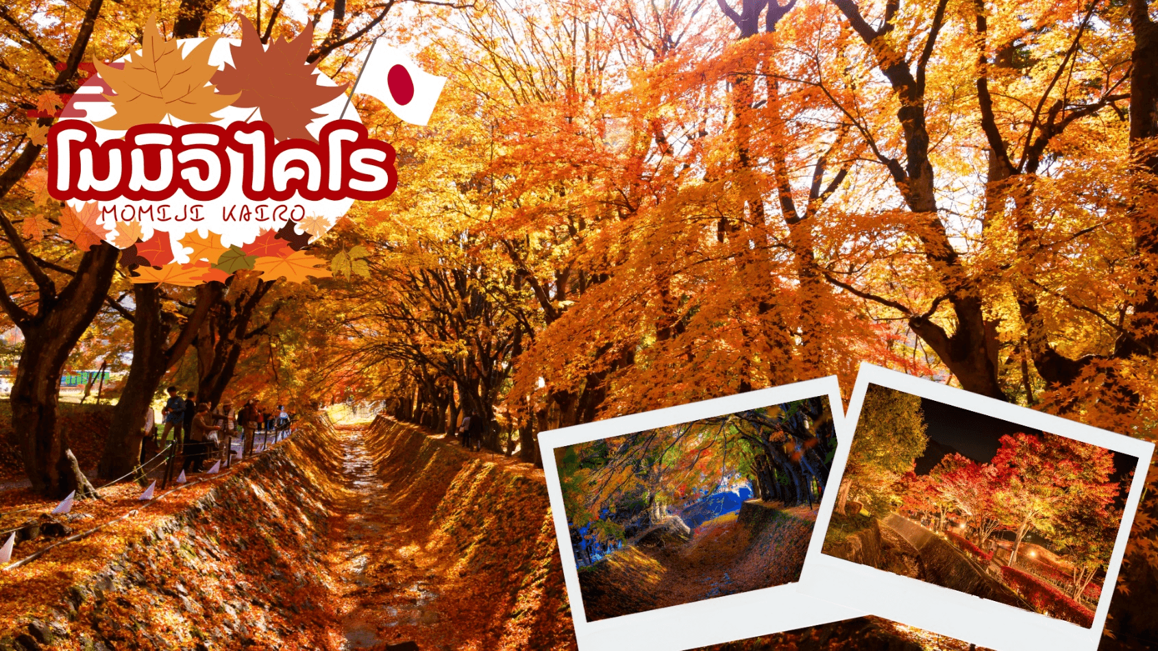 KORANKEI OBARA SAKURA & AUTUMN LEAVE 6D 4N โดยสายการบินไทย [TG] 4