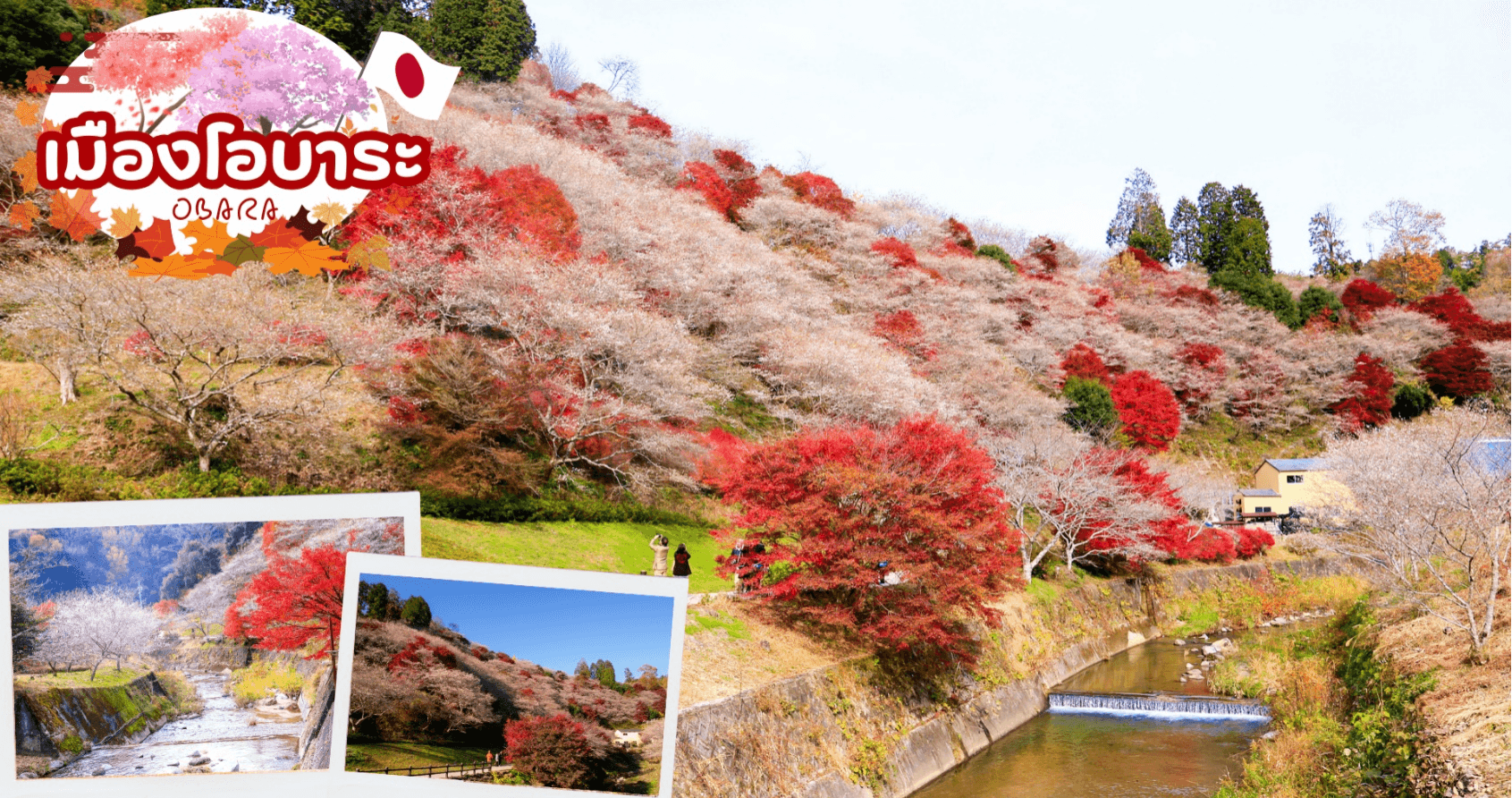 KORANKEI OBARA SAKURA & AUTUMN LEAVE 6D 4N โดยสายการบินไทย [TG] 8