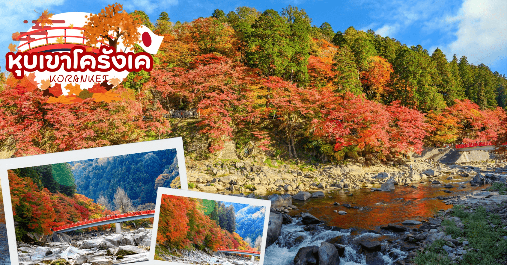 KORANKEI OBARA SAKURA & AUTUMN LEAVE 6D 4N โดยสายการบินไทย [TG] 9