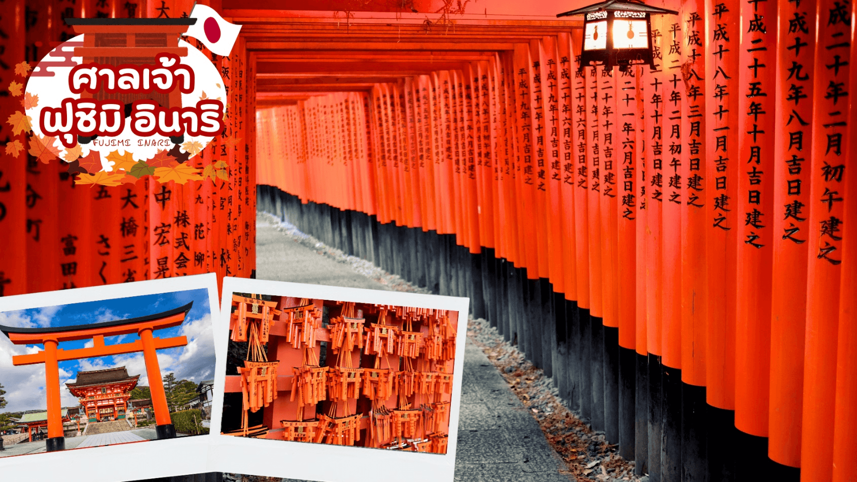 Mt.OMURO HOKUTO UJI GREEN TEA 6D 4N โดยสายการบินไทย [TG] 8