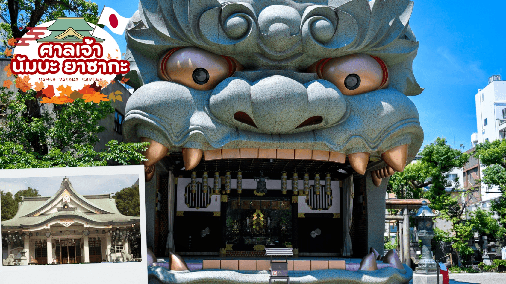 Mt.OMURO HOKUTO UJI GREEN TEA 6D 4N โดยสายการบินไทย [TG] 10